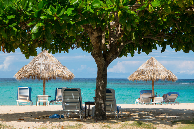 Terkenal dengan Musik Reggaenya, Jamaika Juga Memiliki 5 Spot Wisata yang Tak Kalah Indahnya!