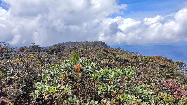 Gunung Tertinggi yang Ada di Malaysia – Gunung Murud