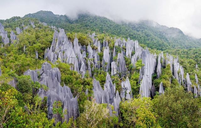 Gunung Tertinggi yang Ada di Malaysia – Gunung Mulu