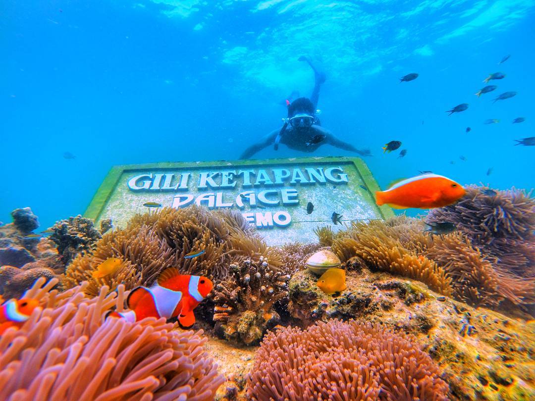 Snorkeling di Gili Ketapang Probolinggo, Sayang Masih Ditutup Sementara Karena Cuaca Buruk