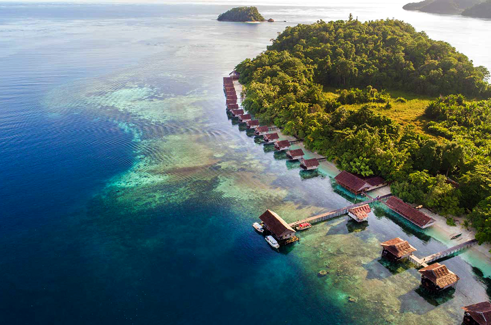 Selain Diving di Raja Ampat: Menikmati Kicauan Burung Surga Dengan Birdwatching!