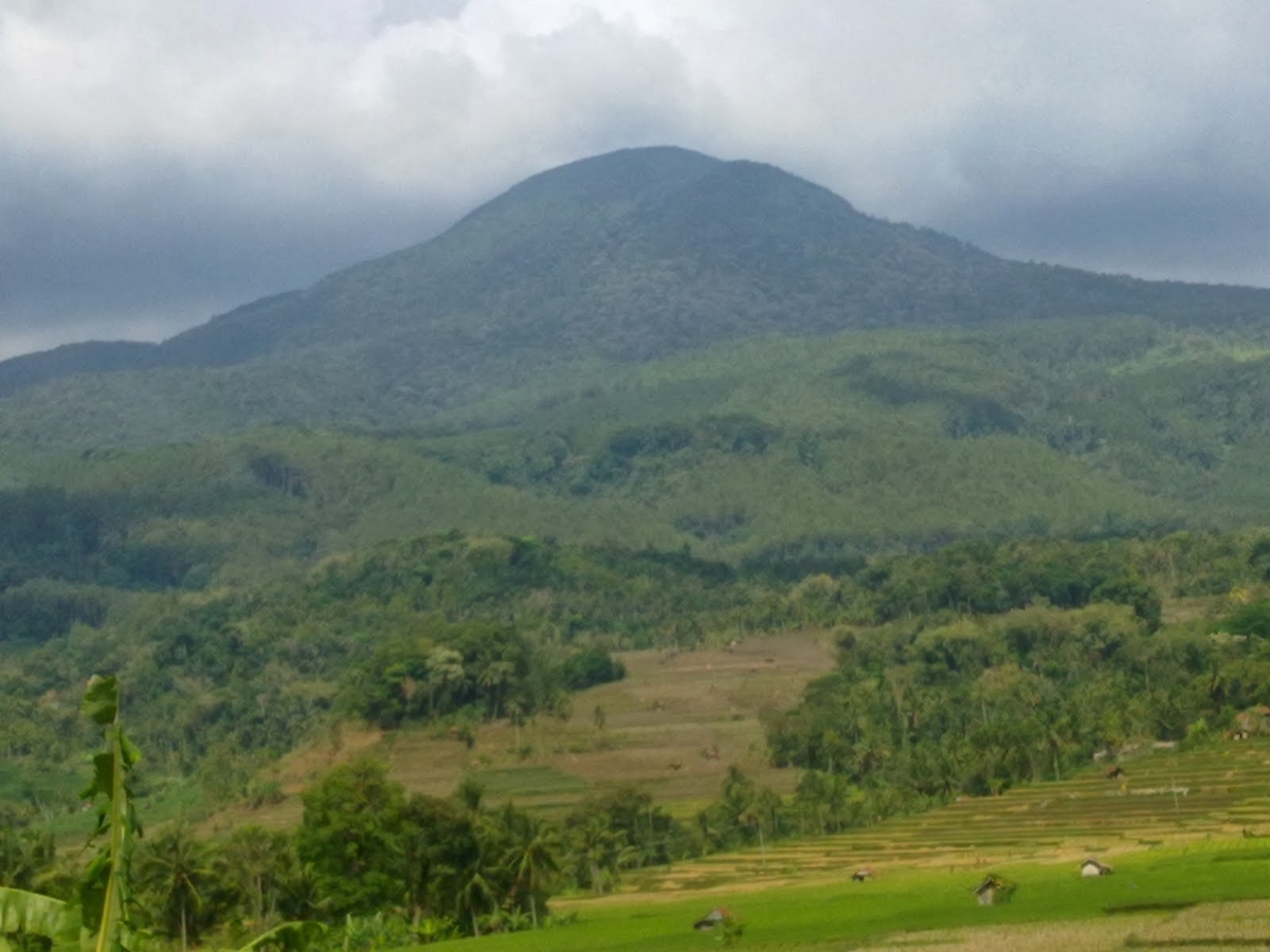 3 Hal Ini Ternyata yang Menjadi Daya Tarik dari Gunung Tampomas Loh Bro!