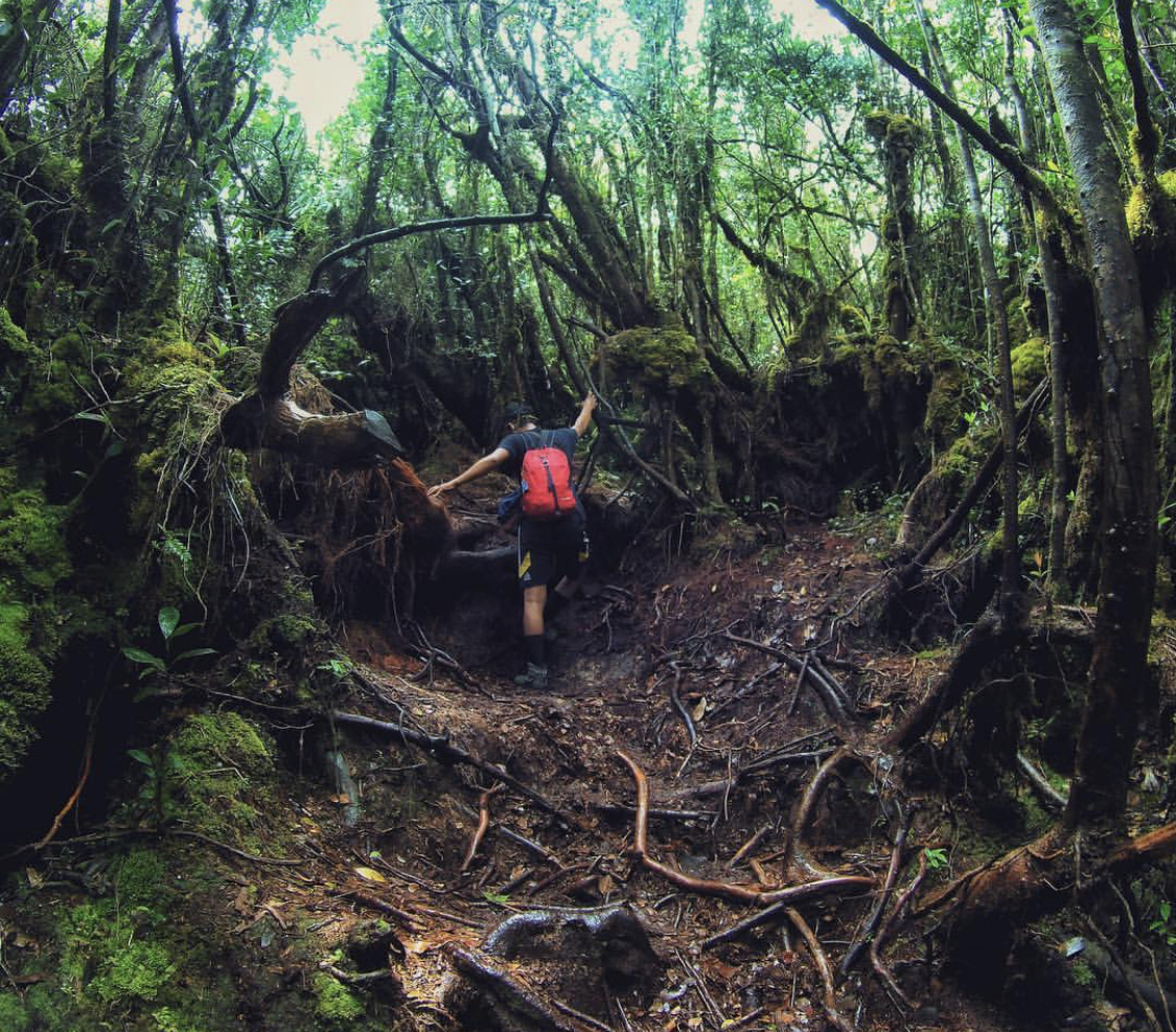 Schode: Menghidupi Mimpi dan Menjelajah Batas