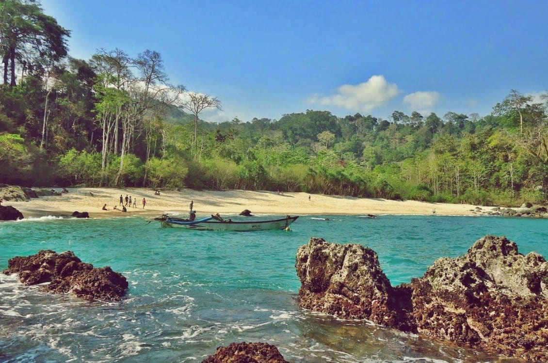 Meru Betiri: Surga Tersembunyi di Jawa Timur - Nikmati keindahan Taman Nasional Meru Betiri dengan kekayaan flora dan fauna yang luar biasa serta pantai-pantai yang memukau