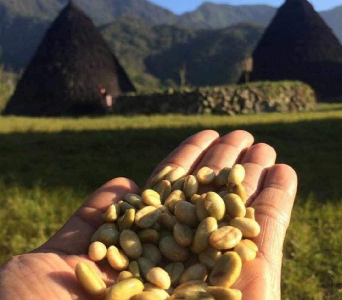 Santai di Akhir Pekan: Mengenal 2 Jenis Kopi Jagoan dari Flores NTT!