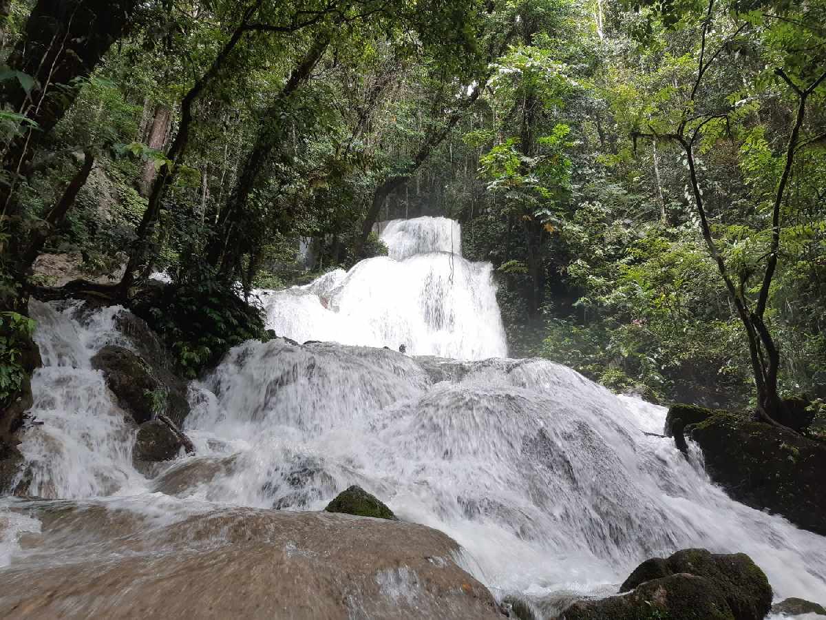 6 Destinasi Wisata Unik dan Menarik di Tambrauw, Papua Barat