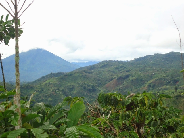 Fakta Menarik Seputar Gunung Pesagi – Kerajaan Sekala Brak