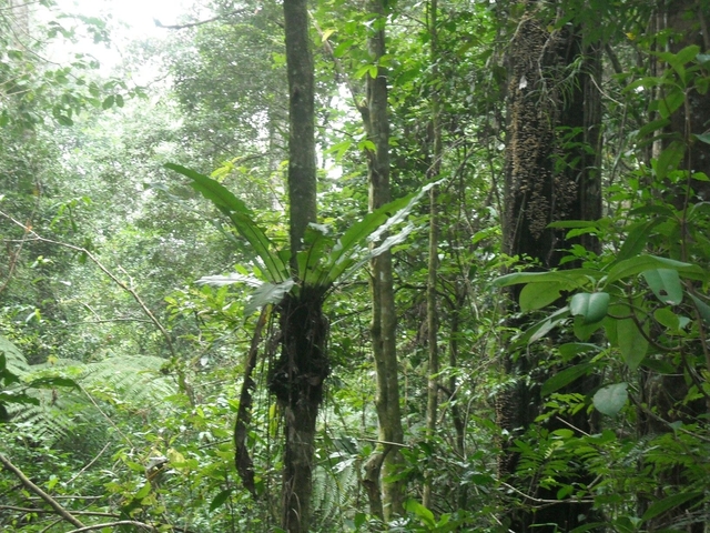 Jalur Pendakian yang Cukup Panjang