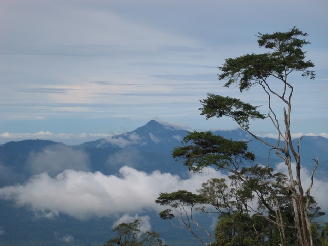 Banyaknya Hewan Liar serta Tumbuhan Nan Elok