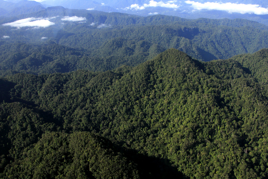 Gunung Leuser: Bahasan Lengkap Soal Pendakiannya yang Sampai 16 Hari!