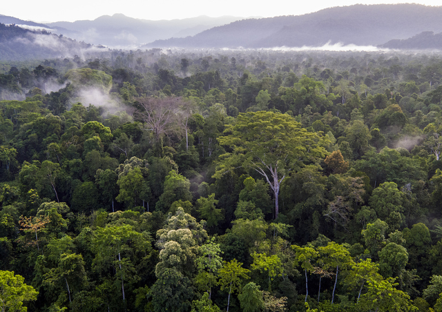 panjang trek gunung leuser