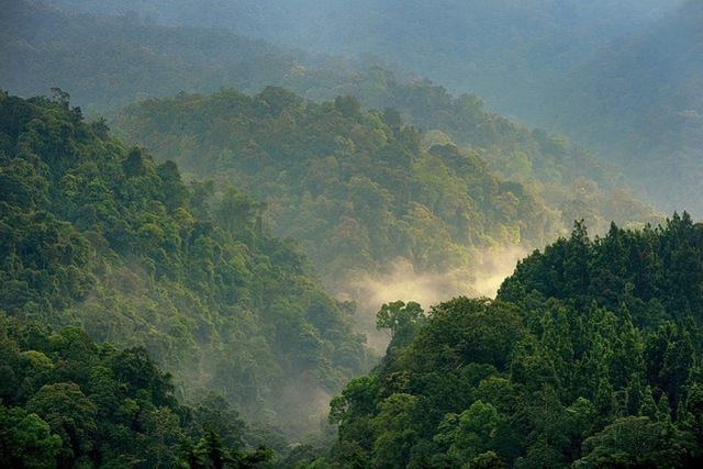 panjang trek gunung leuser