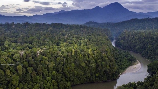 panjang trek gunung leuser