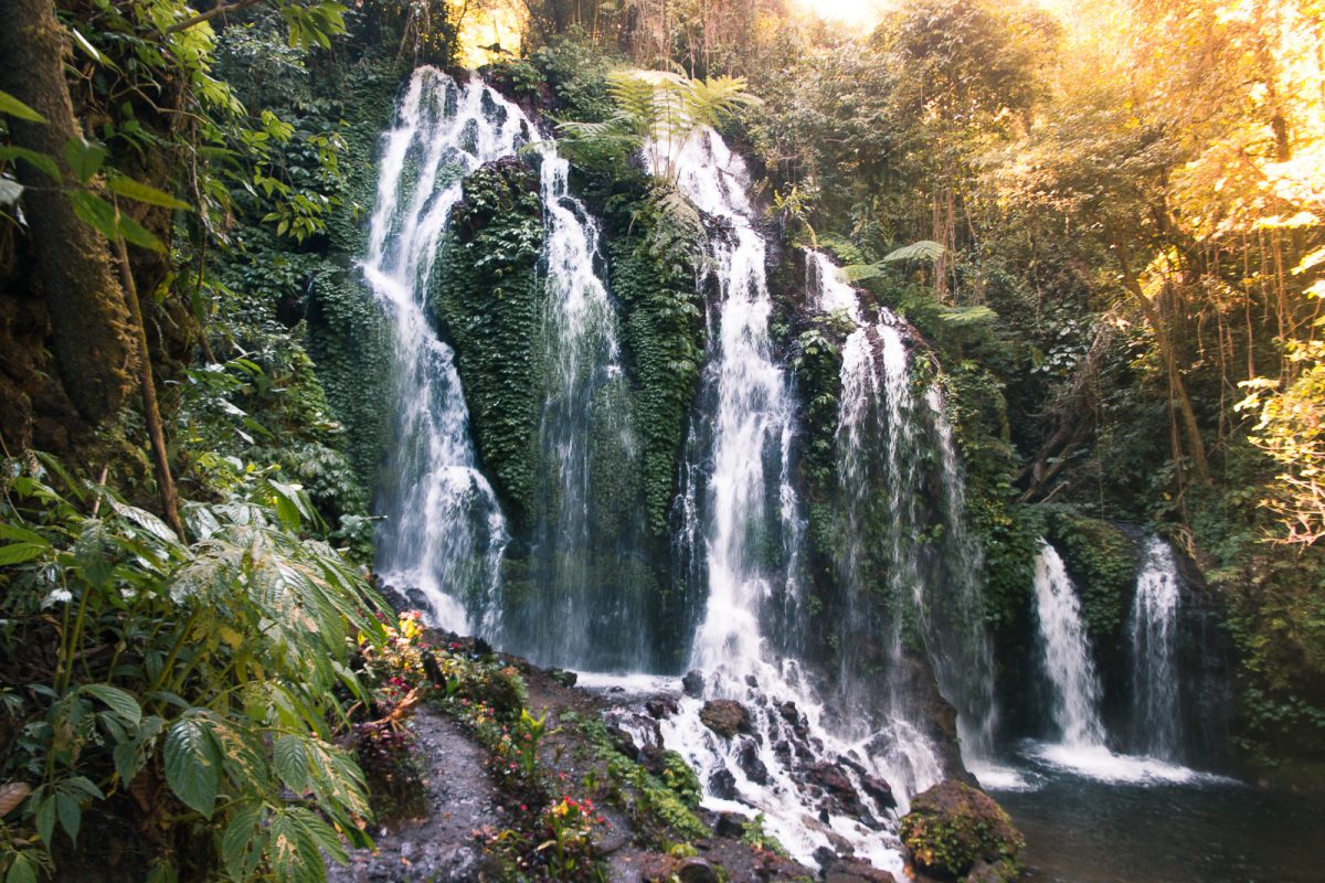 Mengenal Keindahan Air Terjun Bhuana Sari yang Belum Tersentuh Manusia di Bali!