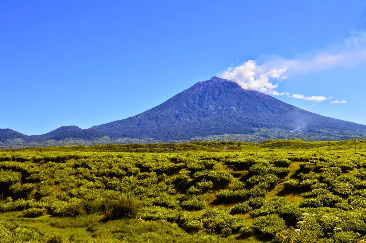 Taman Nasional Siberut: 5 Fakta Menarik dari Jejak Megalit Nusantara!