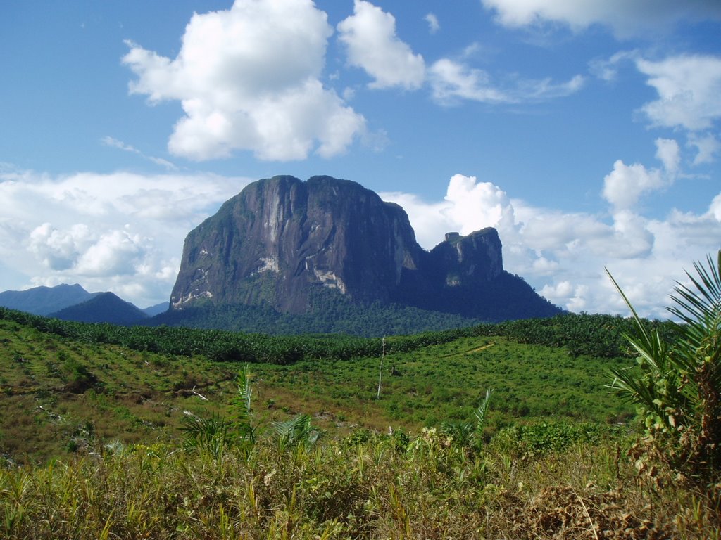 Gunung di Kalimantan Utara 7 Deretan Paling Tinggi Siap Lo Taklukan