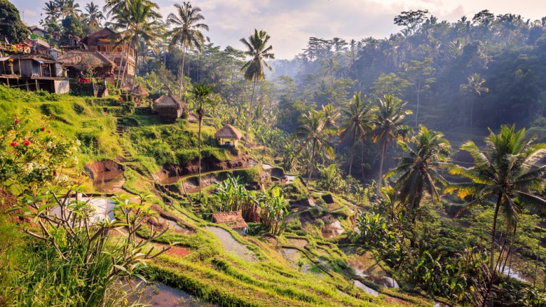 4 Alasan Ubud Akan Ditetapkan Jadi Spot Wisata Kuliner Dunia Oleh UNWTO!