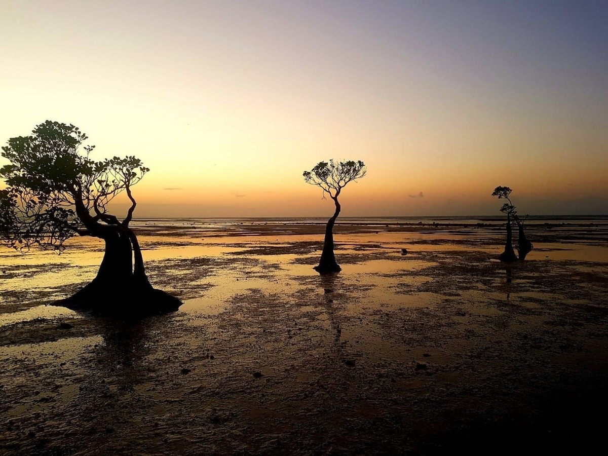 Ini Dia 4 Spot Wisata Alam nan Indah yang Bisa Lo Dapatkan  di Waingapu, Pulau Sumba!
