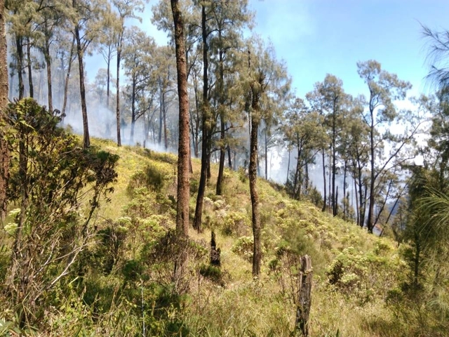Gunung Butak yang Indah -  Lokasi dan Akses Menuju Gunung Butak