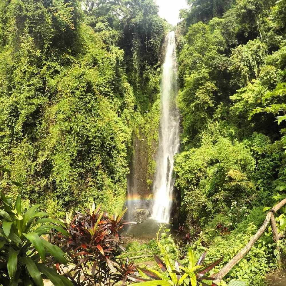 Keindahan Alam Air Terjun Putuk Truno Terlihat Dari 5 Daya Tariknya Ini ...