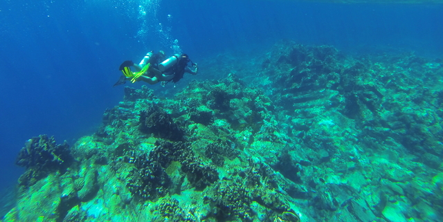 Gunung Api Bawah Laut di Indonesia – Nieuwerkerk