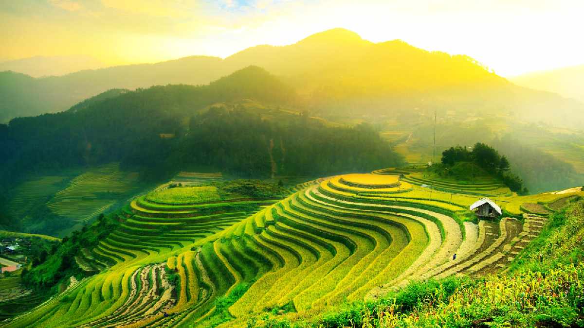 5 Keistimewaan Ubud yang Masuk dalam Deretan 15 Kota Terbaik Dunia