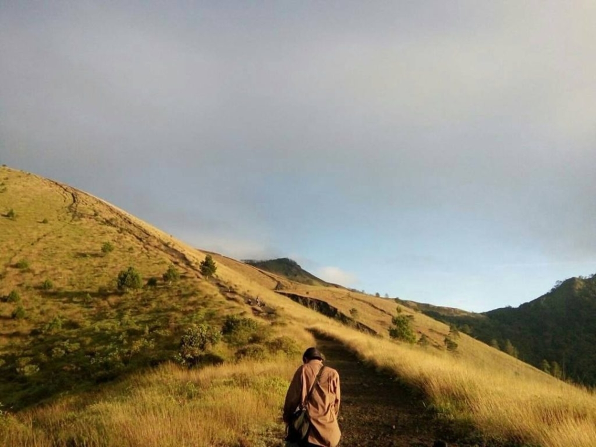 Pendakian ke Gunung Guntur Sangat Cocok Untuk Para Pemula!