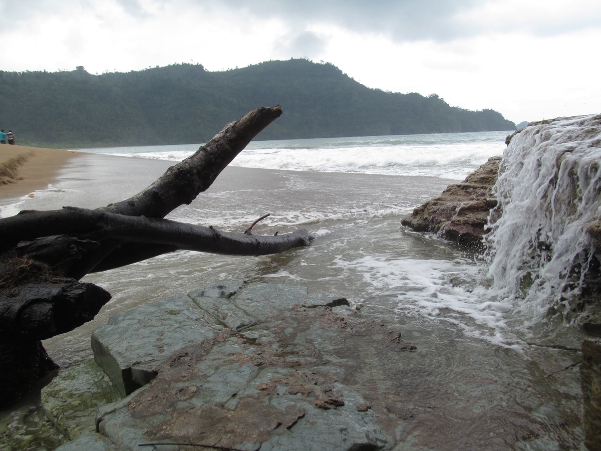 4 Daya Tarik dari Keindahan Pantai "Perawan" Sidoasri di Malang, Jawa Timur!