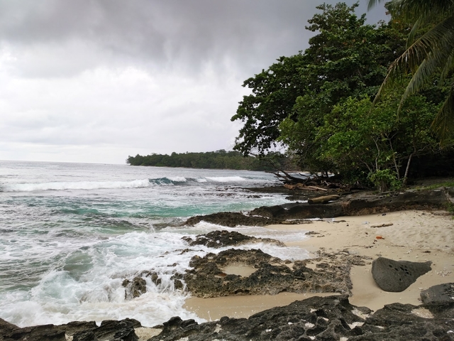 Mengintip Indahnya Manokwari dan 5 Destinasi Wisata Alamnya yang Memukau