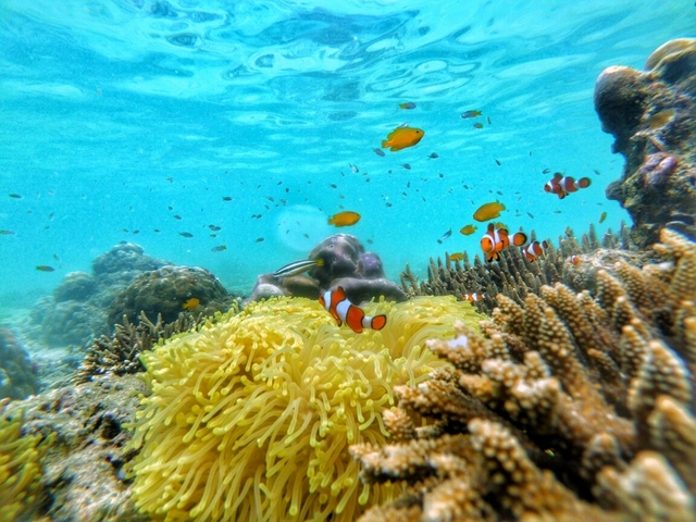 Gili Ketapang, Probolinggo