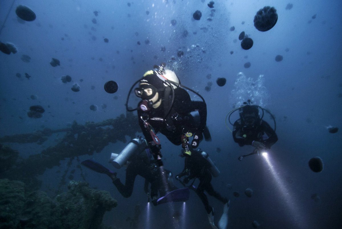 4 Spot “Diving” Indah dan Menakjubkan di Pulau Weh, Sabang