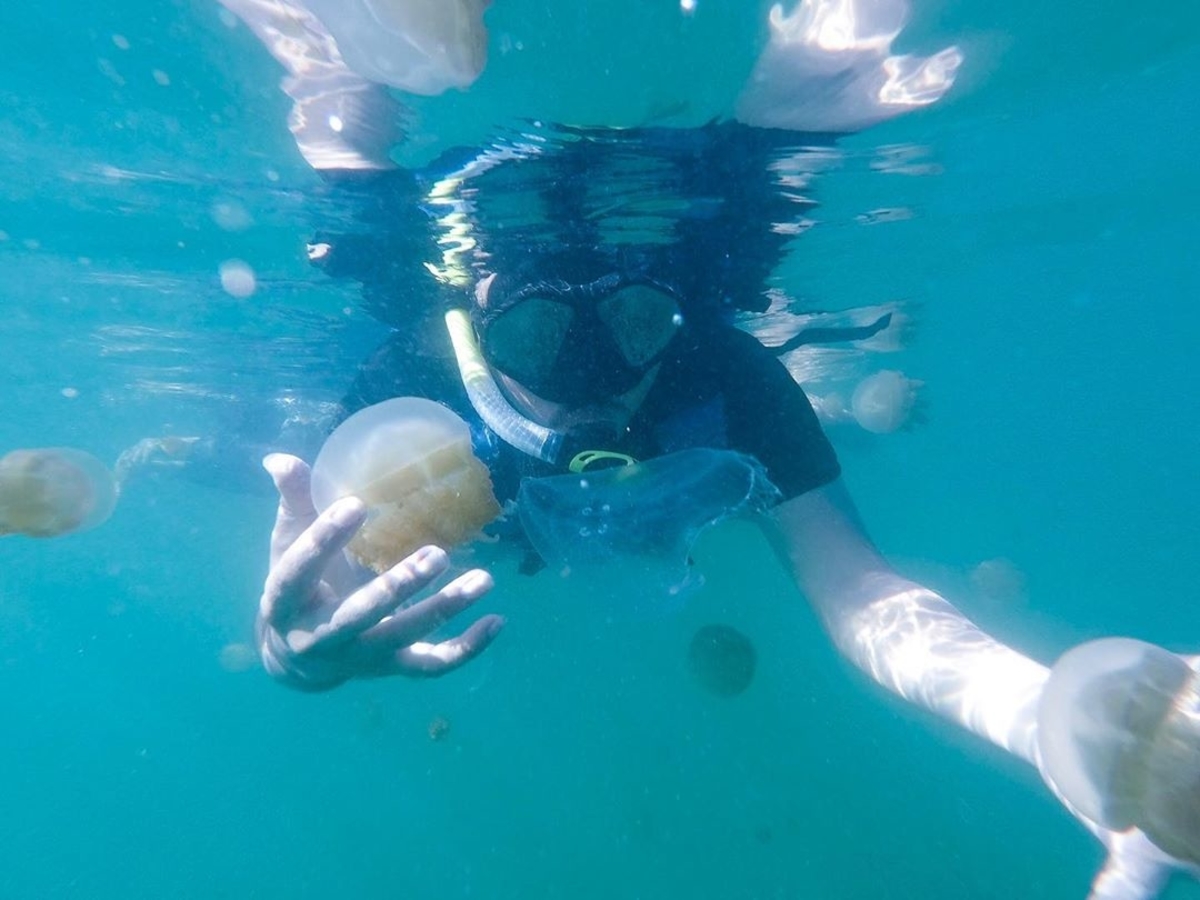 5 Fakta Menarik Diving di Danau Kakaban - Kalimantan Timur, Salah Satu Surga Biologis di Dunia!