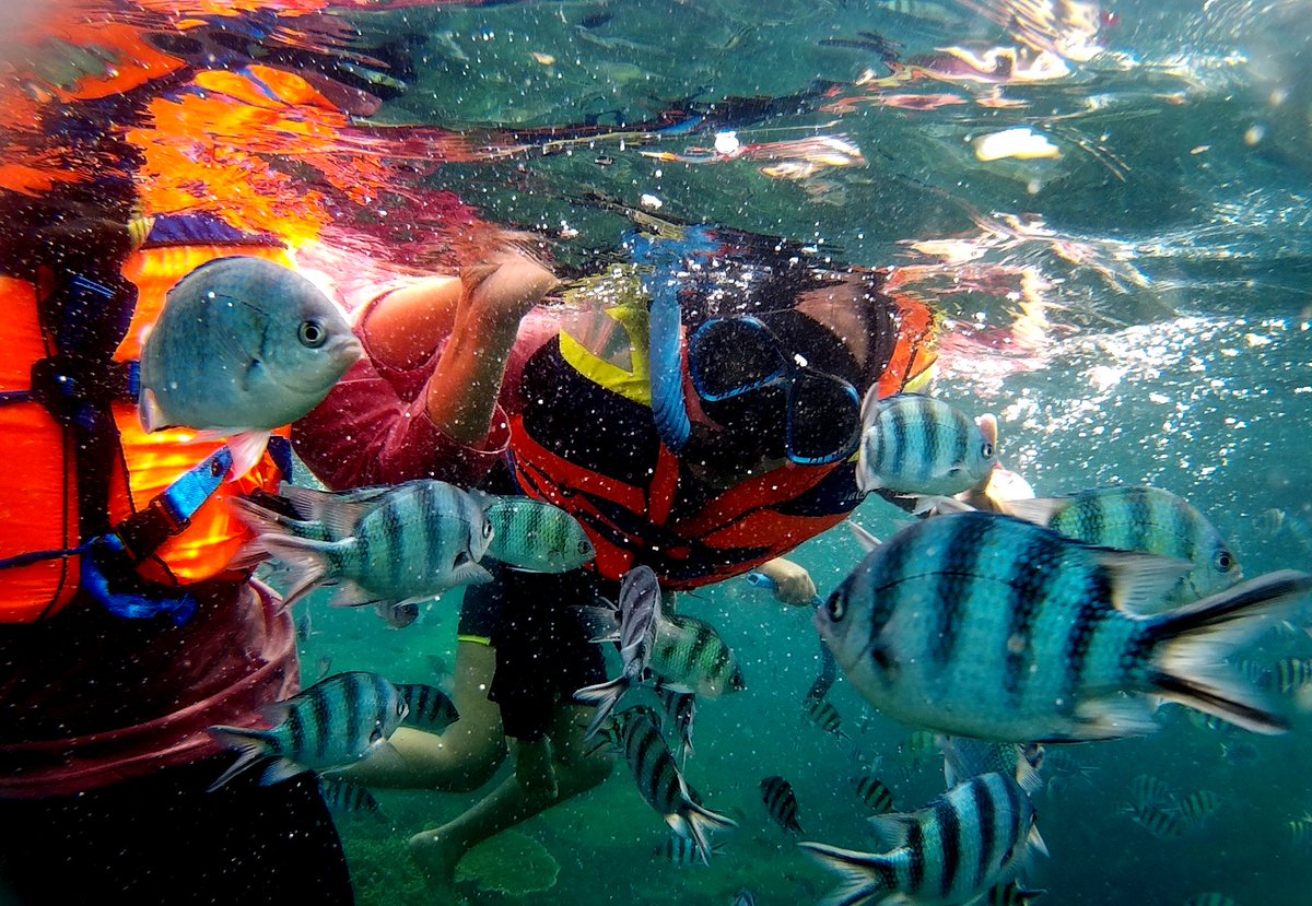 4 Rekomendasi Spot Snorkeling di Kepulauan Bangka Belitung yang Patut Lo Coba!