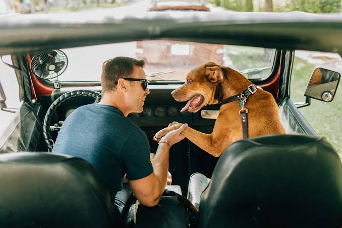 Tren Traveling Bareng Hewan Kian Populer, Apa Saja yang Perlu Kita Ketahui?