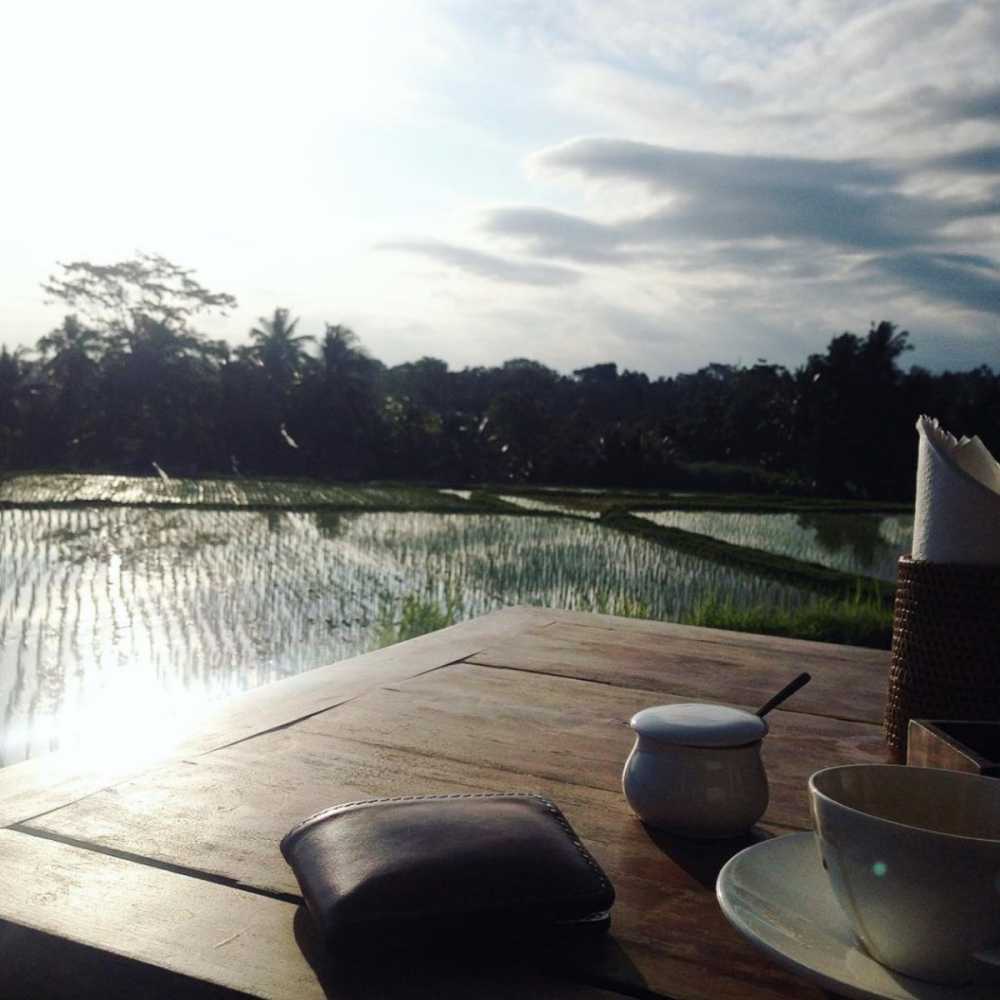 Ingin Melepaskan Penat? Ini Dia 5 Rekomendasi Sawah di Indonesia dengan Pemandangan Istimewa!