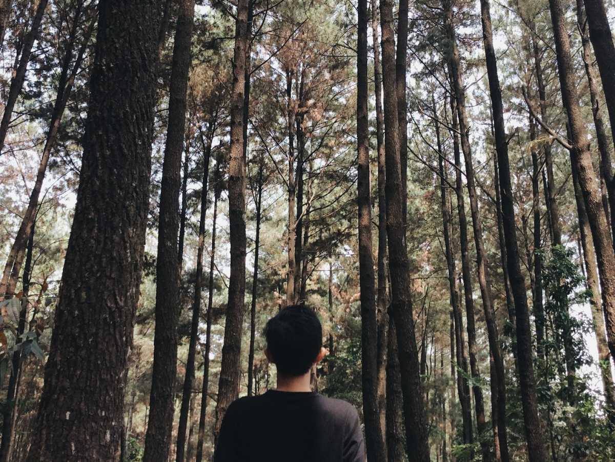 6 Aktivitas Pelepas Penat yang Bisa Lo Coba di Sentul