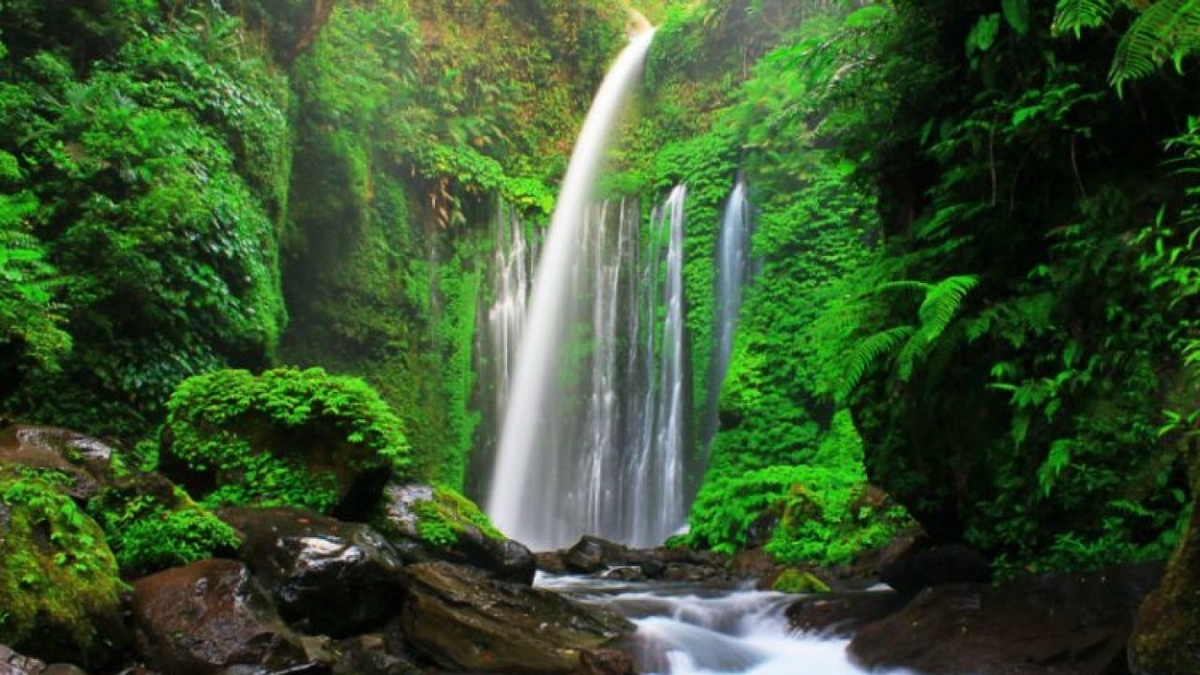 Kangen Sama Air Terjun? Coba Deh ke Lombok dan Temukan 5 "Harta Karun" Ini!