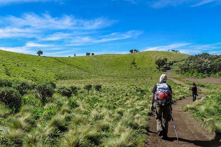 Mendaki Gunung Merbabu Saat Musim Hujan? Ini 4 Tips Sederhananya!