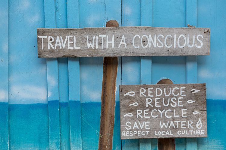 Bosan Wisata Alam yang Monoton? Yuk, Terapin Ekowisata Sambil Melihat Sederet Hewan Langka di Indonesia! 