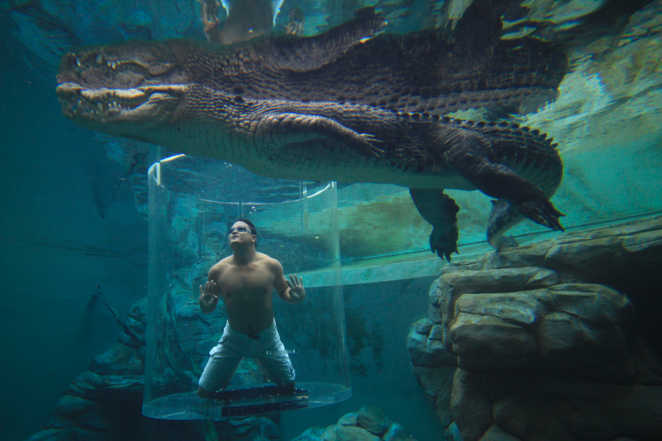 Nyemplung di Kolam Ini Berasa Kayak Dimakan Buaya Hidup-Hidup 