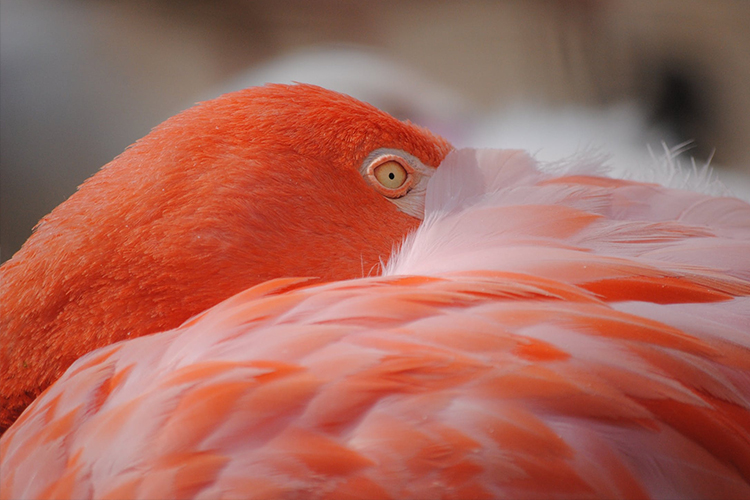 Wisata Alam Serba Merah ini Akan Bikin Lo Terpukau!