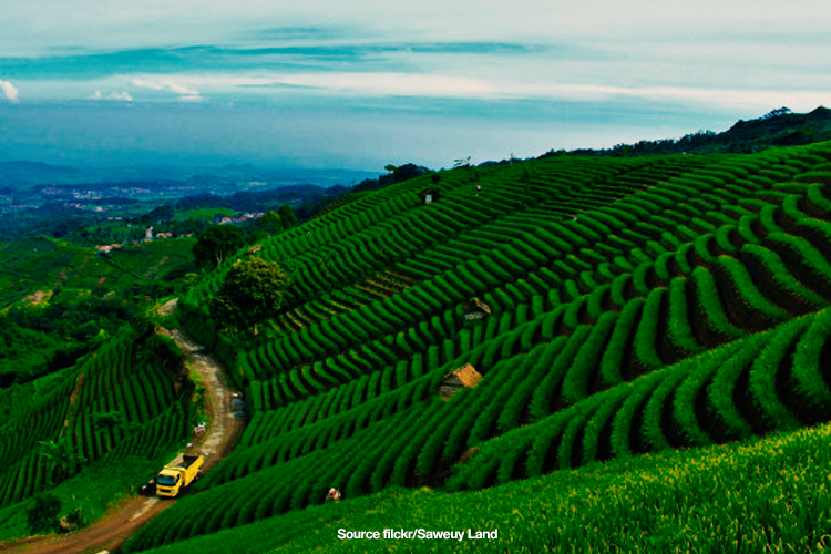 Destinasi Wisata Terasering di Majalengka, Sukses Bikin Lo Terpana!