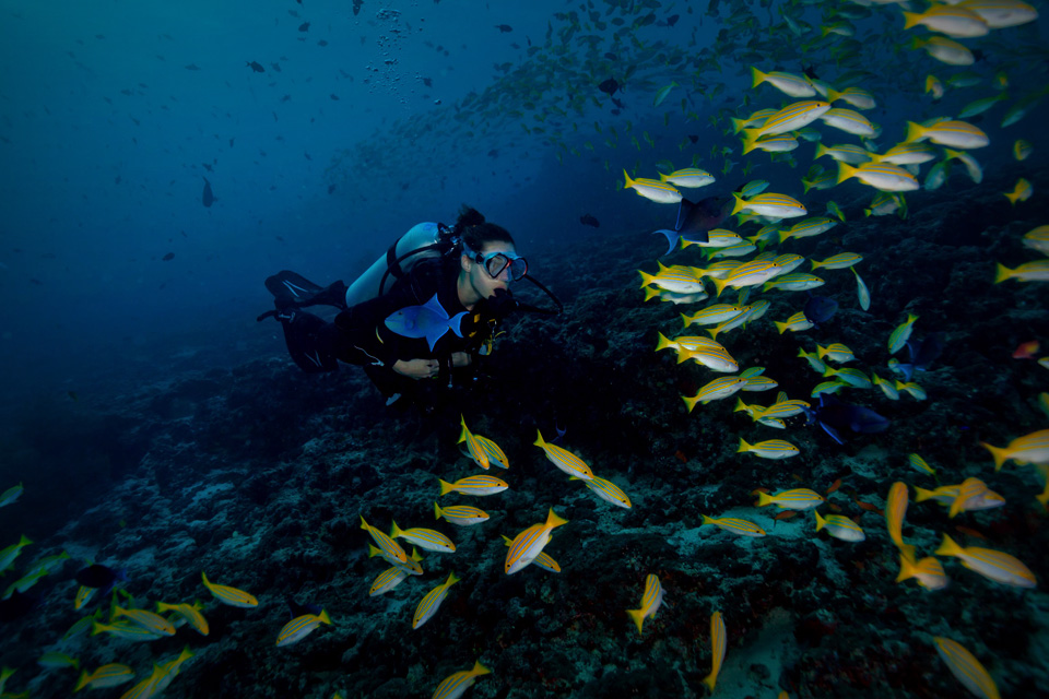 Buat Lo yang Mau Scuba Diving Wajib Punya Aksesori Penting Ini!