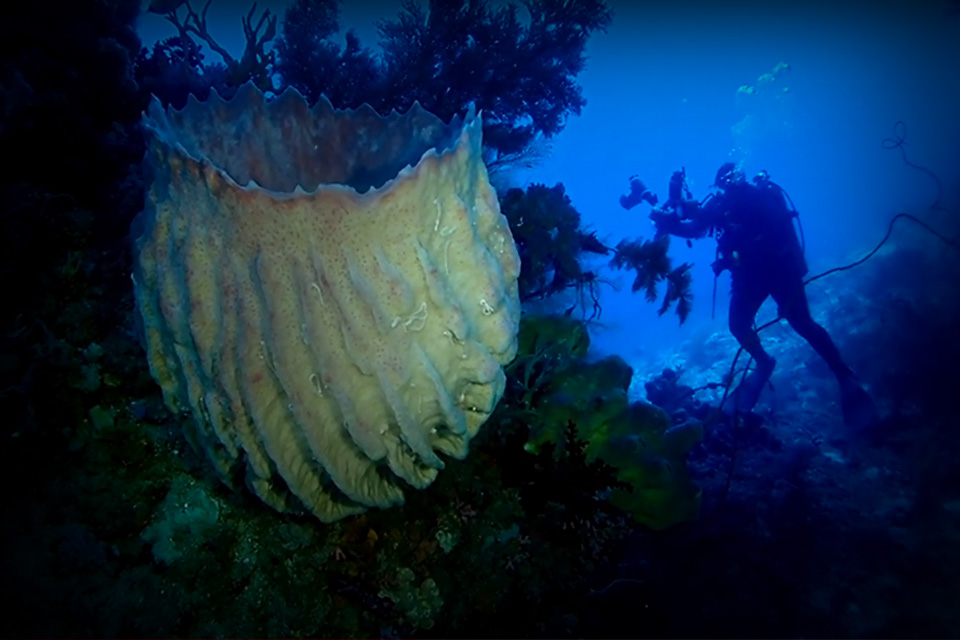 Gua Hukurila, Spot Cave Diving yang Menantang, Bro!