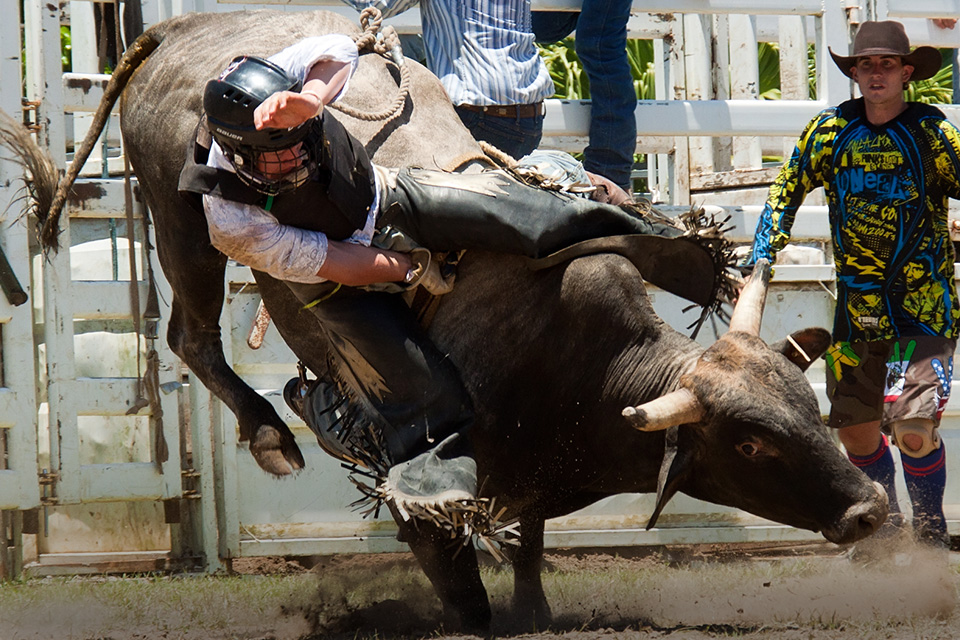 Sejarah Bull Riding yang Awalnya dari Festival Petani, Bro! 