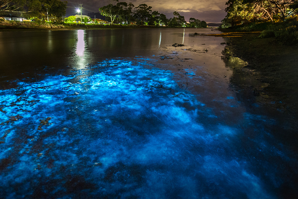 Pantai Eksotis yang Punya Cahaya Biru di Malam Hari