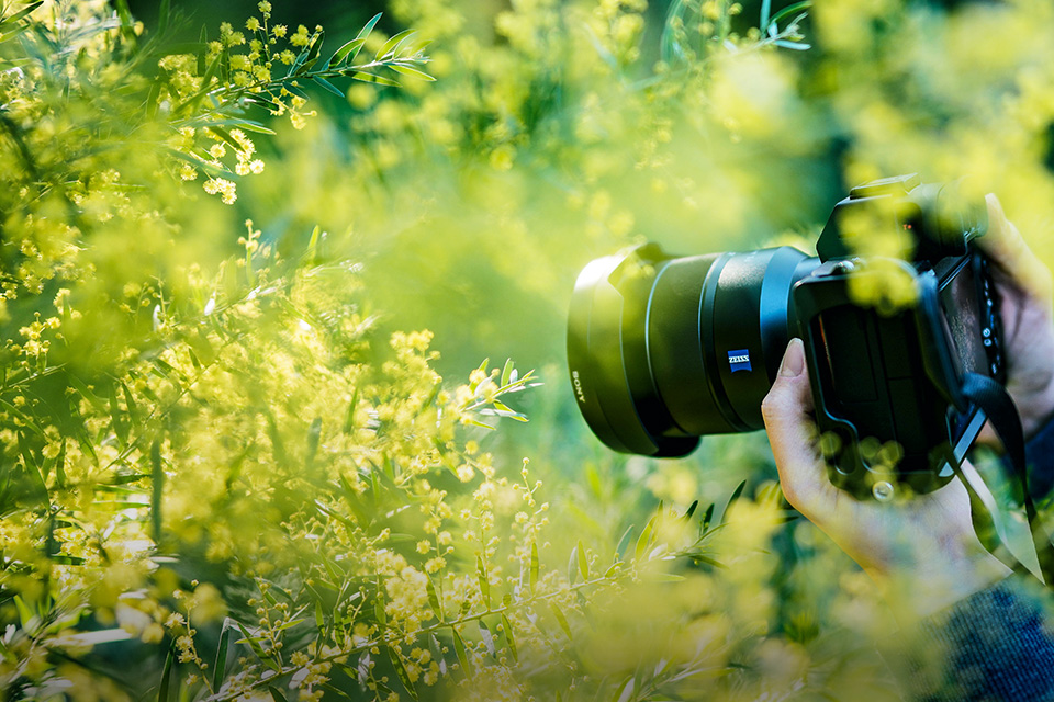 Selagi di Rumah Aja, Yuk Dalami Trik-trik Fotografi Alam Liar