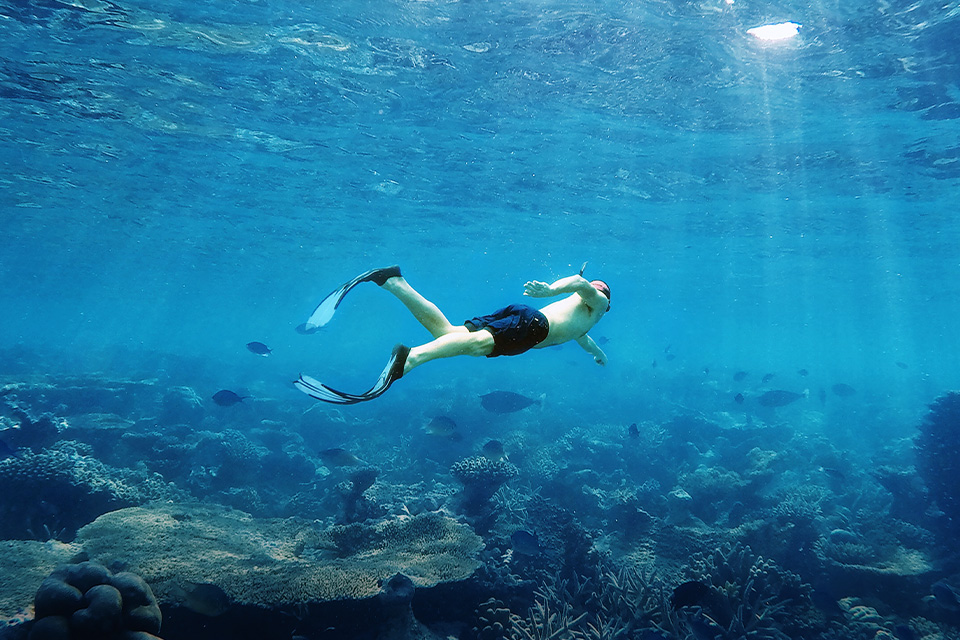 Aturan Baru Diving di Pulau Seribu Saat New Normal