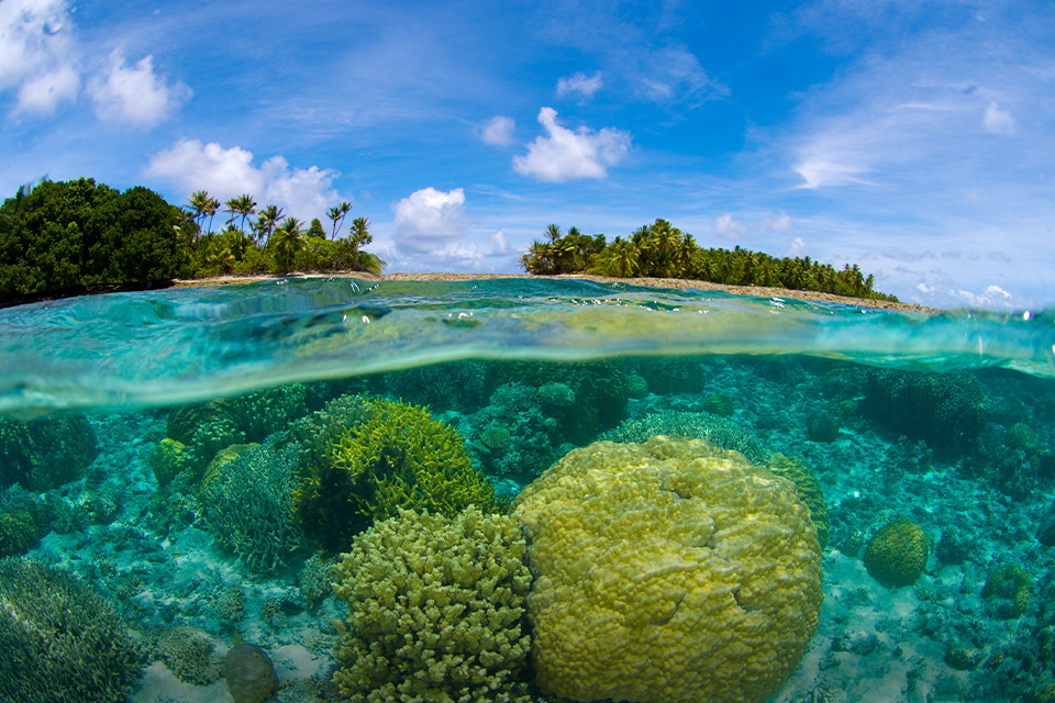 Bikini Atoll, Pulau Kecil di Balik Serial Kartun Spongebob