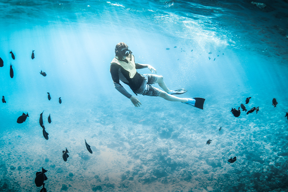 Cara Aman Saat Snorkeling di Laut